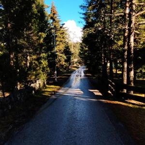 Afbeelding uit fotogalerij van Bajin chalets in Dobroselica