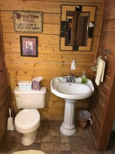 a bathroom with a toilet and a sink at Country Accents - Lee Cabin in Pipe Creek