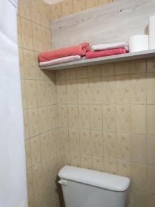 - une salle de bains pourvue de serviettes sur une étagère au-dessus des toilettes dans l'établissement Cómodo monoambiente a 5 minutos del centro!, à San Carlos de Bariloche