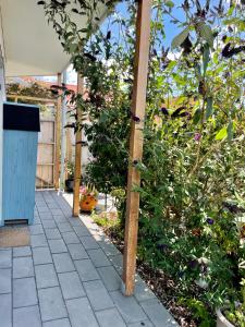 a garden with a pergola and some plants at Cloudscape Apartment No 2 in Kingscote
