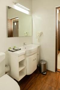 a bathroom with a sink and a toilet and a mirror at Kings Ridge Kandy in Kandy