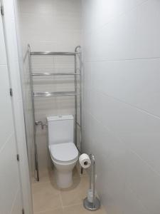 a small bathroom with a toilet in a stall at Logroño Centro Home in Logroño