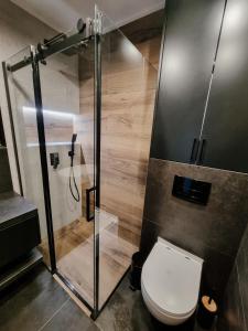a bathroom with a toilet and a glass shower at Heart and Soul in Tylmanowa