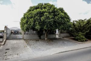 Fotografia z galérie ubytovania Casa di Fabia v destinácii SantʼAntìoco