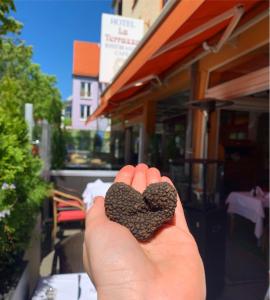 Fotografie z fotogalerie ubytování Hotel Ristorante La Terrazza v destinaci Planegg