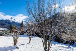 ダボスにあるVilla Zentrum Haus Davosの雪山二本