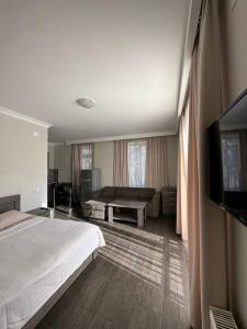 巴庫里阿尼的住宿－Villa Bakuriani，配有一张床和一台平面电视的酒店客房
