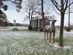 uma estátua de uma girafa ao lado de uma árvore em Birchwood House Farm Shepherds Hut em Sherfield English
