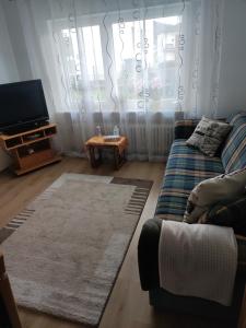 ein Wohnzimmer mit einem Sofa und einem TV in der Unterkunft Olgas Ferienwohnung Saarburg Bahnhofstraße 13G in Saarburg