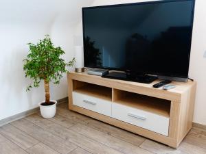 a flat screen tv on a wooden stand with a plant at Auf dem Worbelchen in Monschau