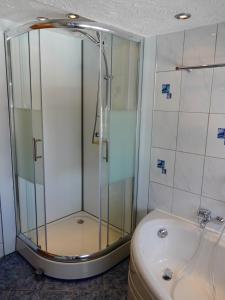 a shower in a bathroom with a toilet and a sink at Auf dem Worbelchen in Monschau