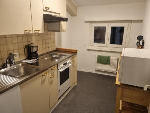 a kitchen with a sink and a stove top oven at 24-7 Rooms in Sennwald