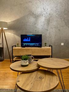 TV a/nebo společenská místnost v ubytování Apartman Ninkovic