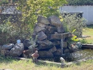 Vonkajšia záhrada v ubytovaní Les Lys de Rosie - Maison familiale de plain pied campagne