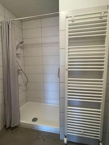 y baño con ducha y cortina de ducha. en Les Lys de Rosie - Maison familiale de plain pied campagne, en Boisset-lès-Montrond