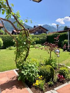 ogród z roślinami i kwiatami na dziedzińcu w obiekcie Ferienwohnung Ebert w mieście Oberstdorf