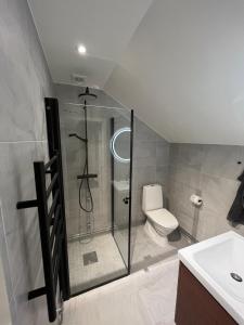 a bathroom with a shower and a toilet and a sink at Nice Apartment close to everything in Malmö