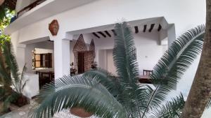Fotografie z fotogalerie ubytování Wonderful Ocean Villa v destinaci Jambiani