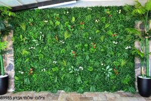 Giardino di וילה מארי עם בריכה במגדל