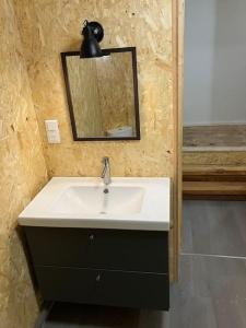 a bathroom with a white sink and a mirror at Votre gite dans l'ancienne Huilerie de Tourtel in Vernosc-lès-Annonay