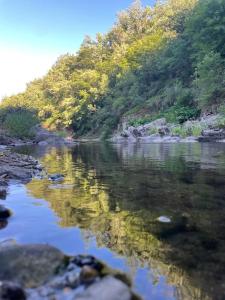 a river with reflections of trees and a mountain at Votre gite dans l'ancienne Huilerie de Tourtel in Vernosc-lès-Annonay