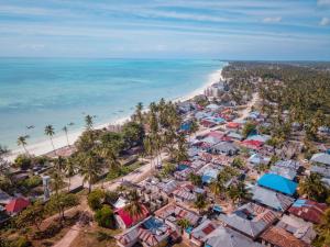an aerial view of a beach with houses and palm trees at Wonderful Ocean Villa in Jambiani