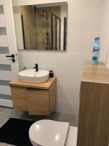 a bathroom with a white toilet and a sink at Domki u Edzi in Krajno-Zagórze