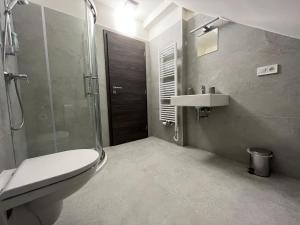 een badkamer met een douche, een toilet en een wastafel bij Penzion Sýpka in Jablŭnka