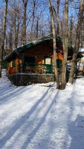 una cabaña de madera en el bosque con nieve en el suelo en CHALET ETNA MILO, en Milo
