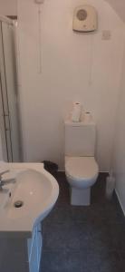 een badkamer met een wit toilet en een wastafel bij Scotch Street in Dungannon