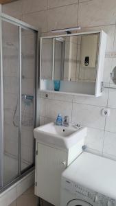 ein Bad mit einem Waschbecken und einer Dusche in der Unterkunft Ferienwohnung "Aloki" in Sankt Peter-Ording