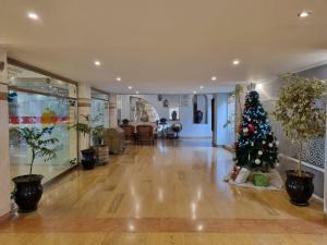 un arbre de Noël au milieu d'un couloir dans l'établissement El Oumnia Puerto & Spa, à Tanger