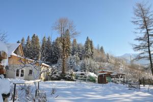 un patio cubierto de nieve con una casa y árboles en Forester Apartment Zuberec, en Zuberec