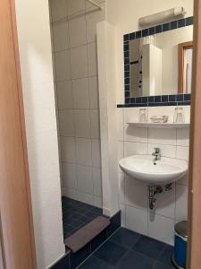 a bathroom with a sink and a mirror at Breitenberger Hof "inklusive Frühstück" in Breitenberg