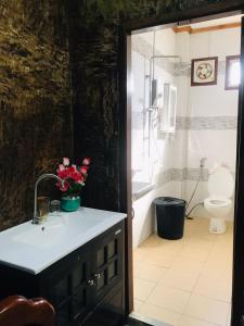 a bathroom with a sink and a tub and a toilet at xaythone guest house in Savannakhet