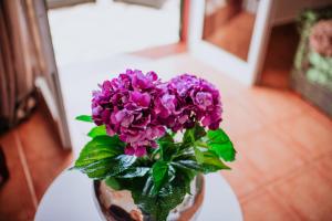 um vaso cheio de flores roxas numa mesa em Villa Amore Accommodation em Paul do Mar