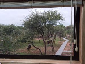 Vrt pred nastanitvijo Marloth Kruger View