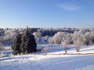 un campo cubierto de nieve con árboles a lo lejos en Valesko Hotel, en Grigorchikovo