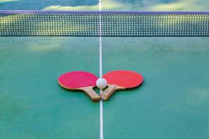 Tenis a/nebo squash v ubytování Apartments Jezera Lovišća nebo okolí