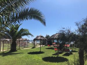 un parco con una palma e un parco giochi di TAHITI a Fondi