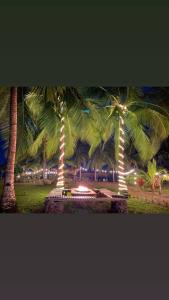 a group of palm trees with lights in a park at Show Pony Beach Resort and Suites in Las Lajas