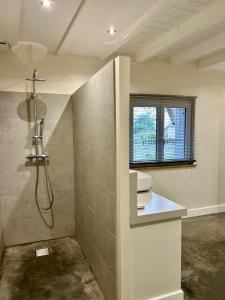 a bathroom with a shower and a toilet and a window at La maison de Saint-Ké - Les gîtes de Keregal in Saint-Quay-Portrieux