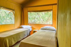 two beds in a room with two windows at Camping Maremma Sans Souci in Castiglione della Pescaia