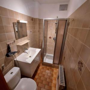 La salle de bains est pourvue de toilettes, d'un lavabo et d'une douche. dans l'établissement Selb Ferienwohnungen, à Selb