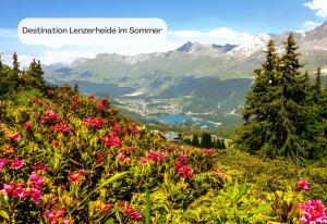 a view of a mountain valley with pink flowers at Hotel Lenzerhorn in Lenzerheide