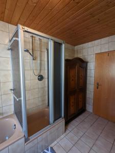a bathroom with a shower and a bath tub at Traumhafte Wohnung im Herzen von Zwiesel in Zwiesel