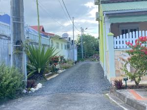 une route vide entre deux maisons avec des plantes dans l'établissement ALLEGRO, à Pointe-à-Pitre