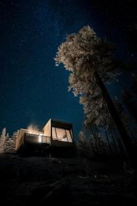 a glass house at night with a tree at Salla Wilderness Lodges in Salla