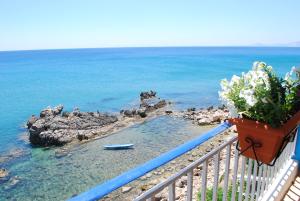 Príroda v okolí of the bed and breakfast