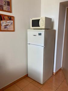 um micro-ondas sentado em cima de um frigorífico em Aparthotel City 5 em Praga